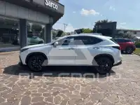 2024 Lexus NX300