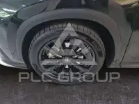 2024 Lexus NX300