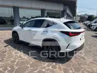 2024 Lexus NX300