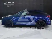 2024 Lexus RX