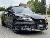 2024 Lexus RX