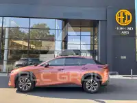 2024 Lexus RZ