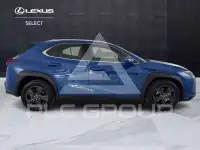2024 Lexus UX