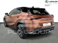 2024 Lexus UX