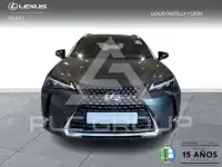 2024 Lexus UX