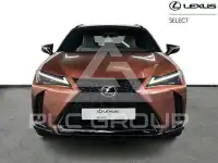 2024 Lexus UX