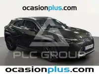 2024 Lexus UX