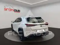2024 Lexus UX