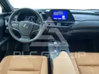 2024 Lexus UX