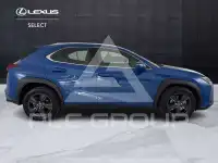 2024 Lexus UX