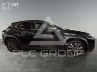 2024 Lexus UX