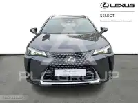2024 Lexus UX