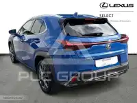 2024 Lexus UX250