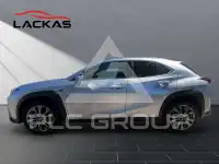 2024 Lexus UX250