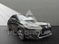 2024 Lexus UX250