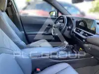 2024 Lexus UX250