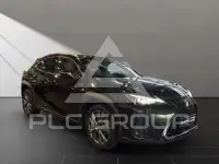 2024 Lexus UX250