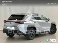 2024 Lexus UX250