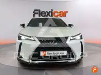2024 Lexus UX250