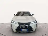 2024 Lexus UX250
