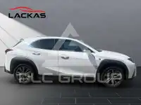 2024 Lexus UX250