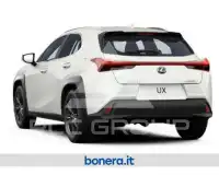 2024 Lexus UX250