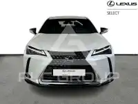 2024 Lexus UX250