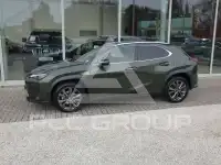 2024 Lexus UX250