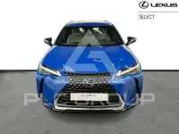 2024 Lexus UX250
