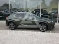 2024 Lexus UX250