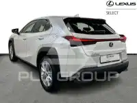 2024 Lexus UX250