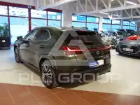 2024 Lexus UX250