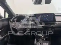 2024 Lexus UX250