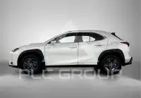 2024 Lexus UX250