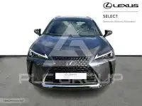 2024 Lexus UX250