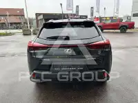 2024 Lexus UX250