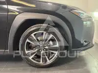 2024 Lexus UX250