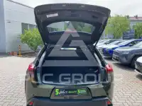 2024 Lexus UX250