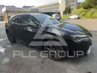 2024 Lexus UX250