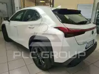 2024 Lexus UX250