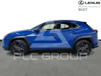 2024 Lexus UX250