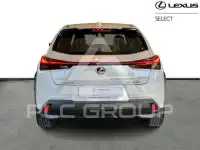 2024 Lexus UX250