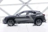 2024 Lexus UX250