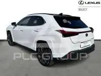 2024 Lexus UX250