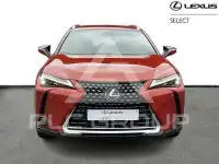 2024 Lexus UX250