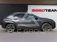 2024 Lexus UX250