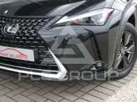 2024 Lexus UX250