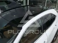 2024 Lexus UX250