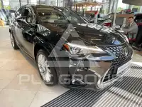 2024 Lexus UX250