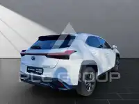 2024 Lexus UX250